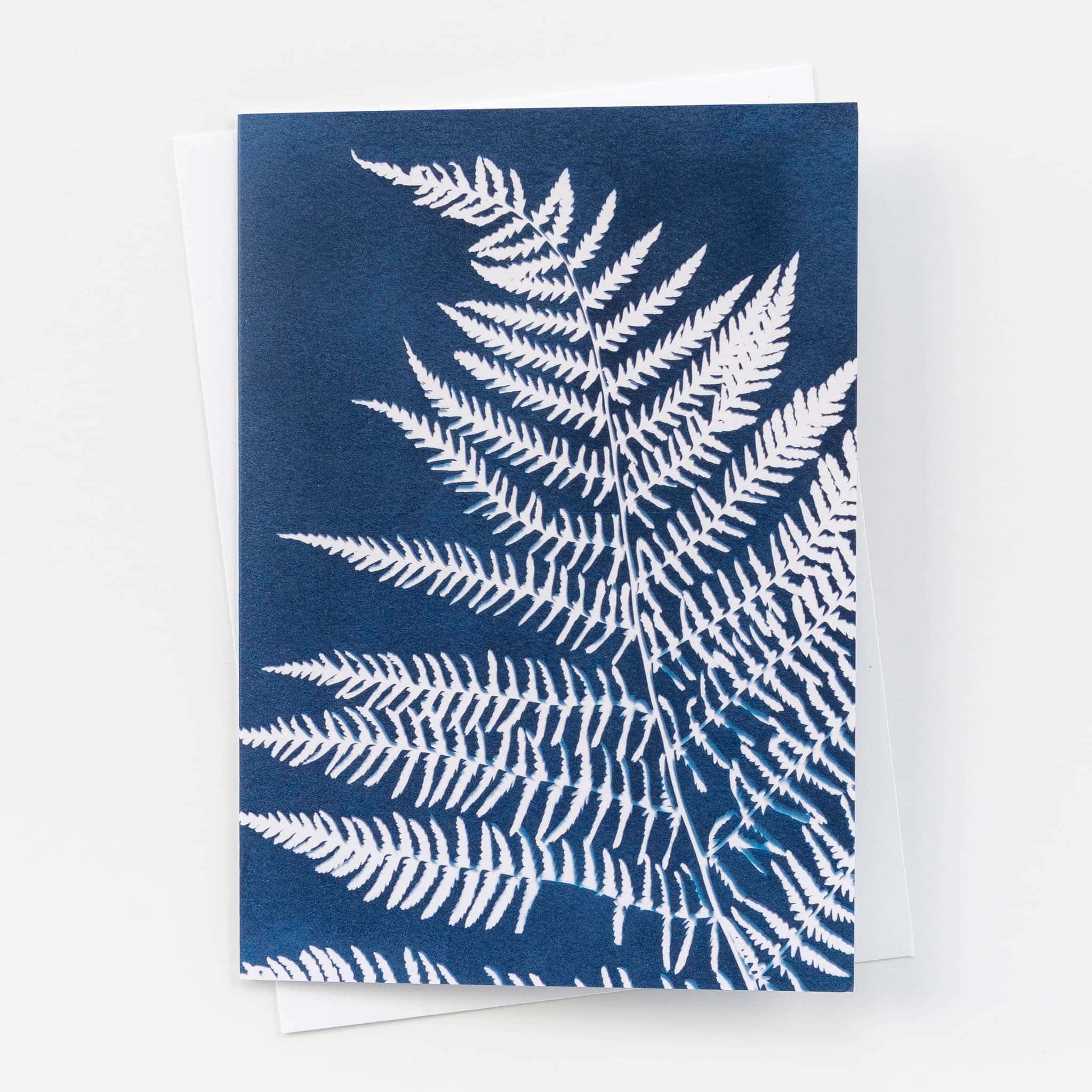 Fern Cyanotype Card