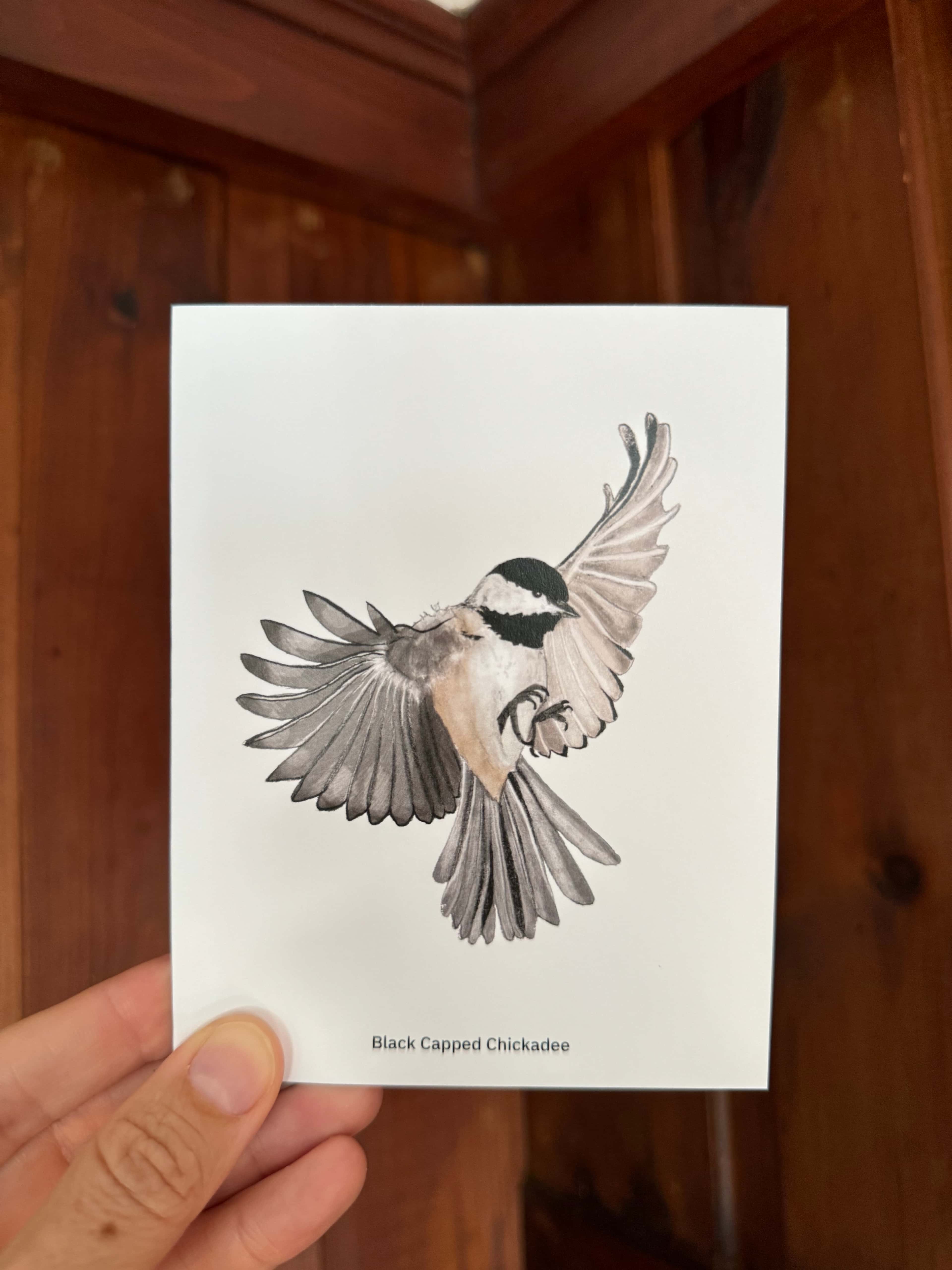 Chickadee