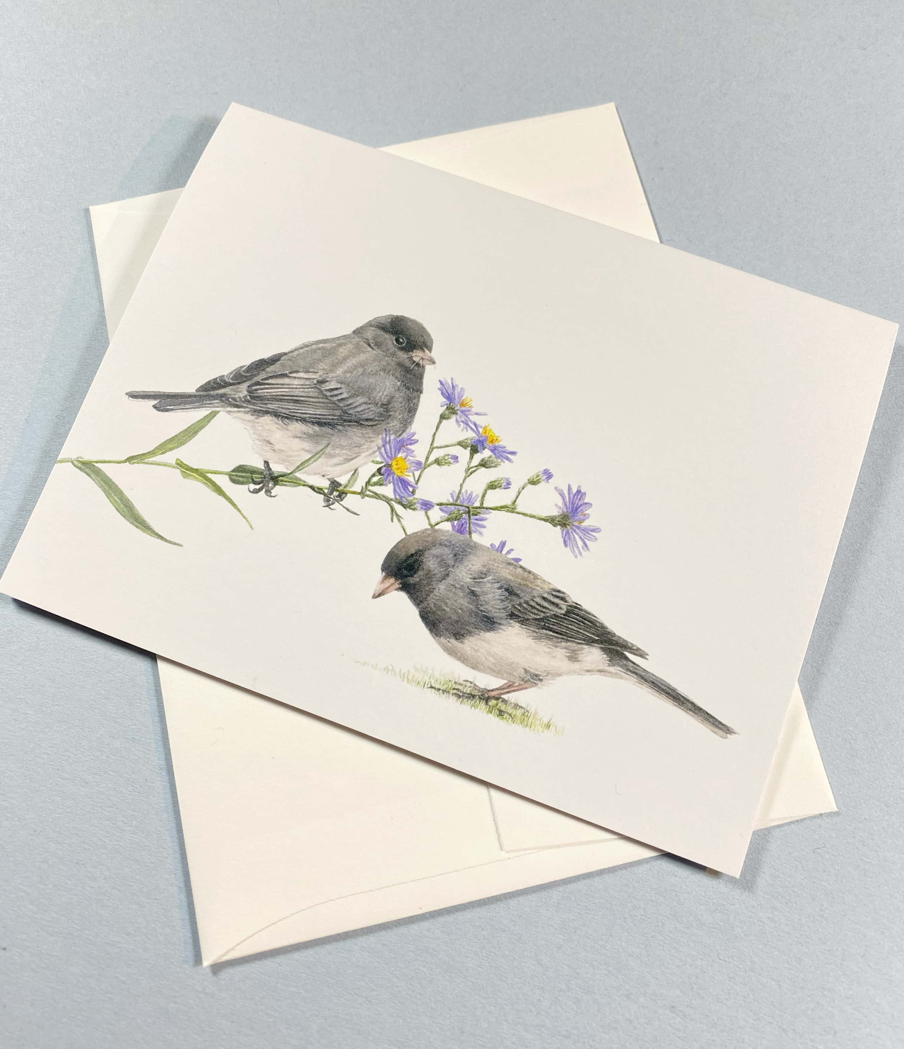 Dark-eyed Juncos with Smooth Aster