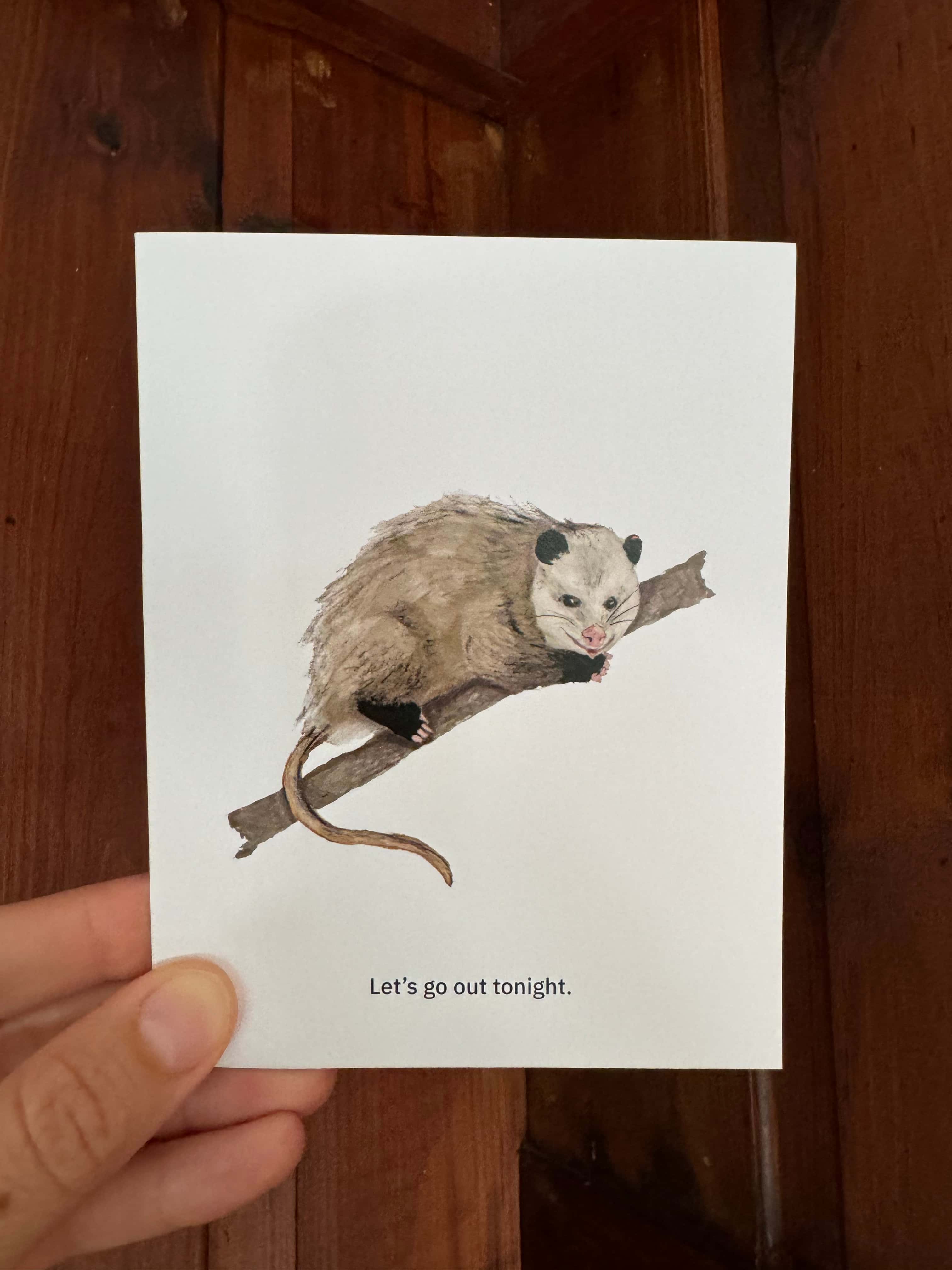 Opossum