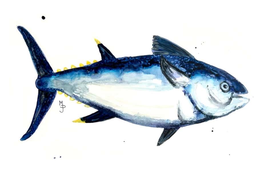Bluefin Tuna