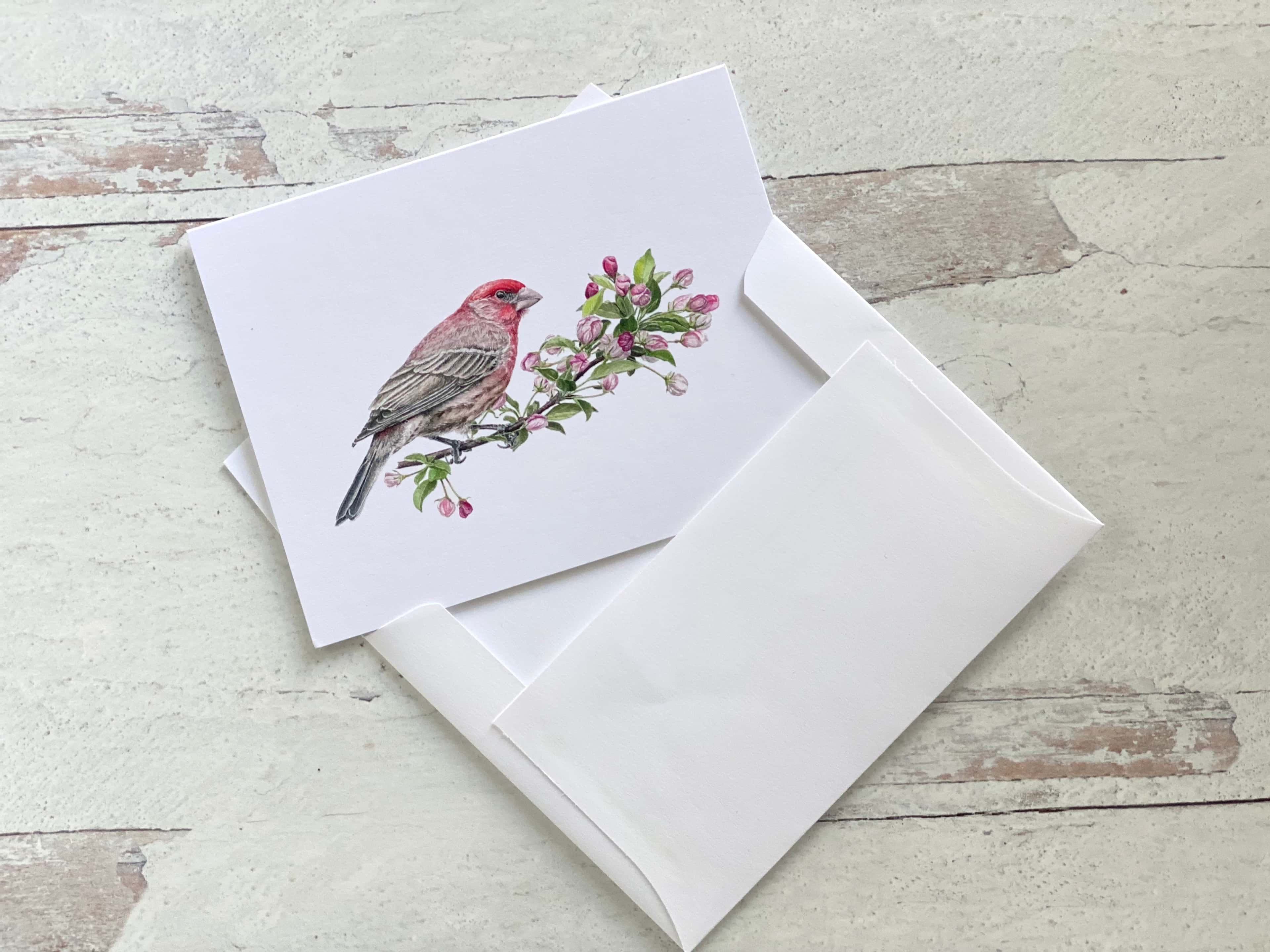 House Finch with Flowering Crabapple