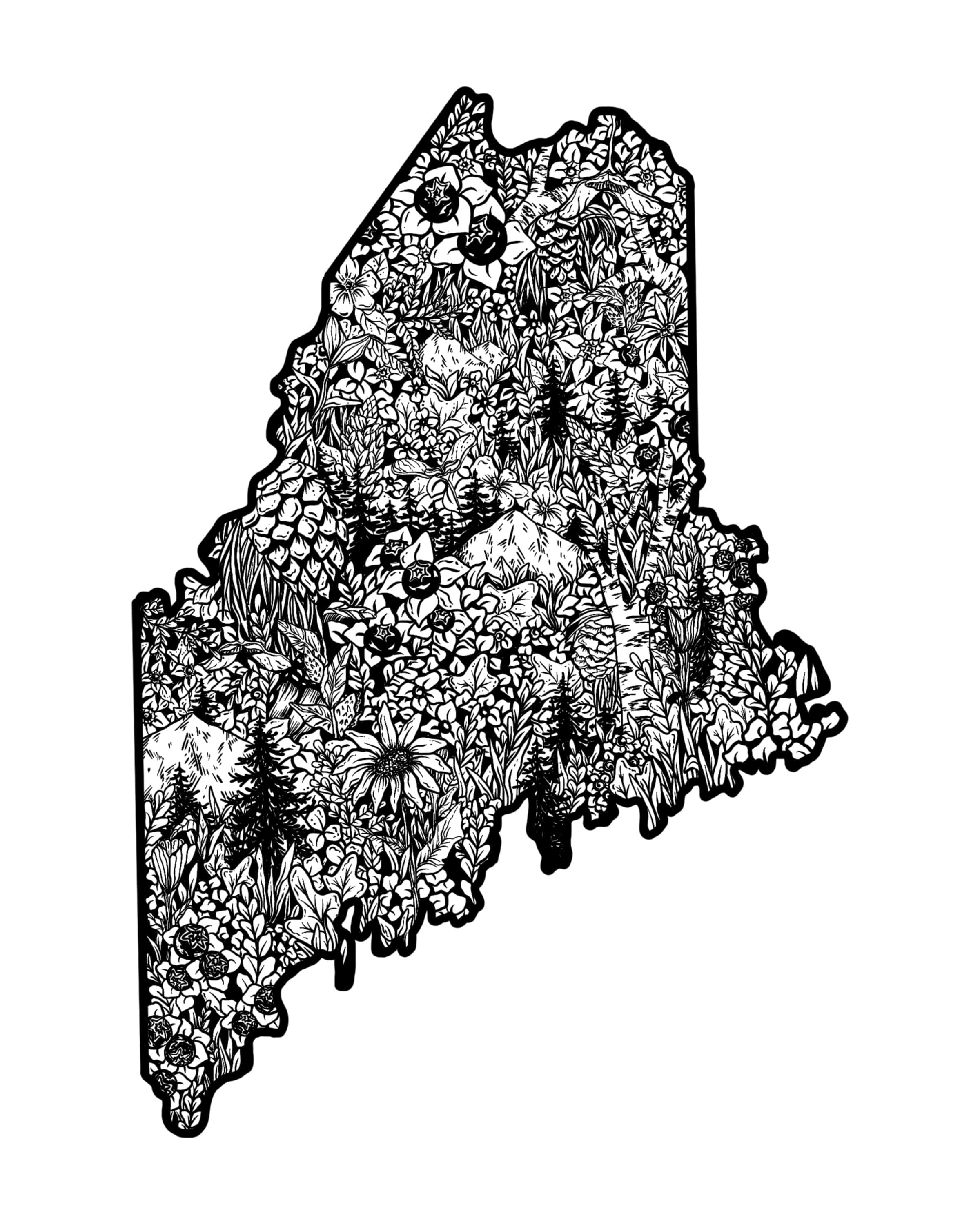 Maine Outline