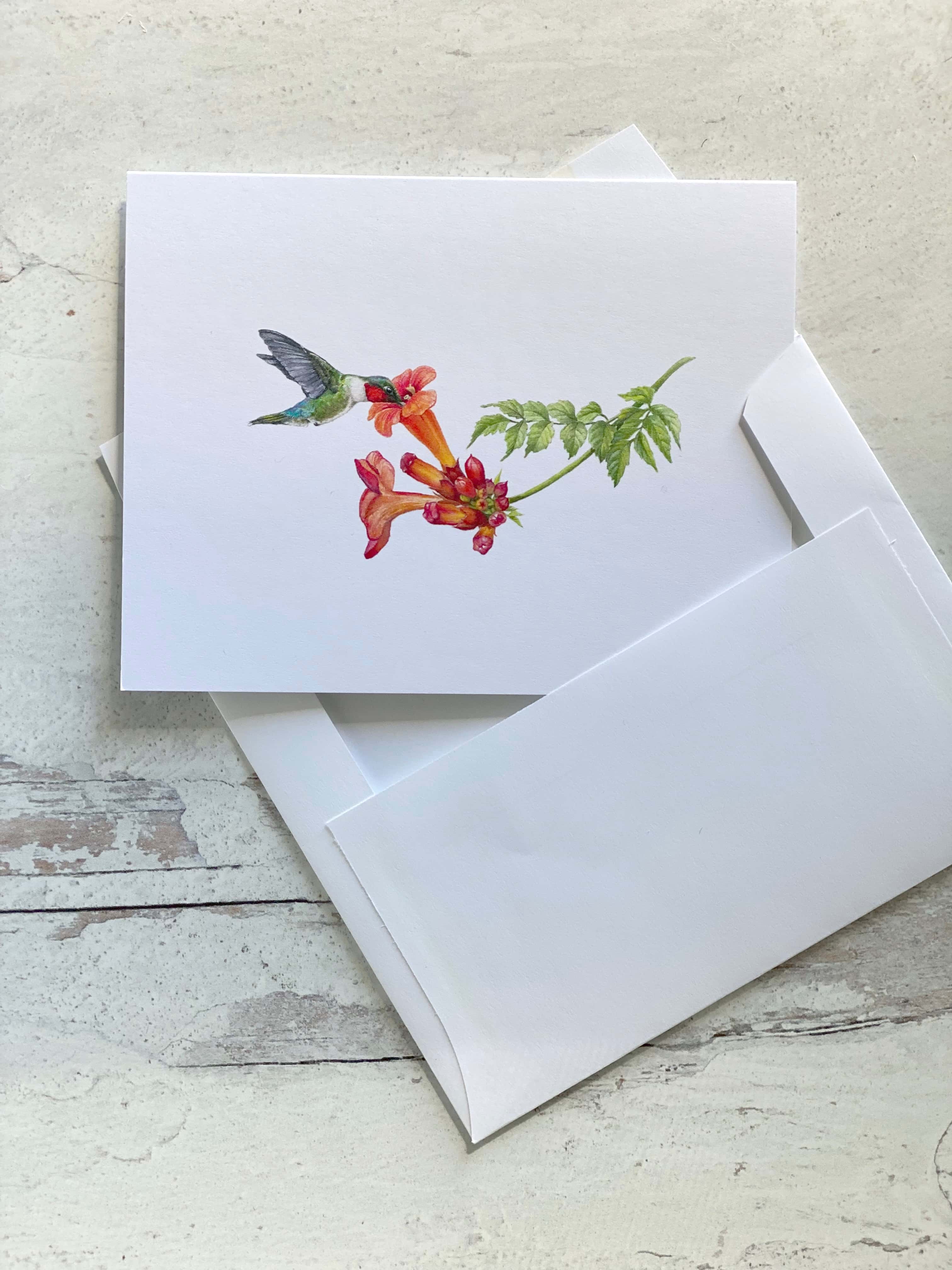 Ruby-throated Hummingbird with Trumpet Vine