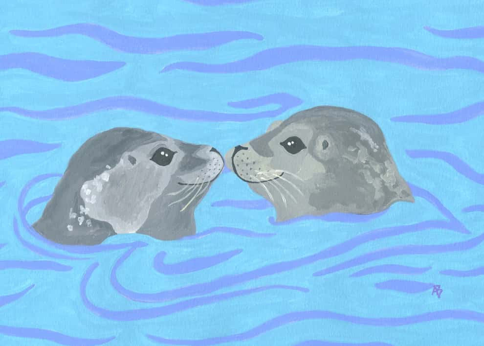 Hello Seals